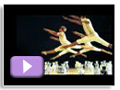 Click para ver