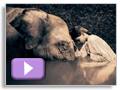 Click para ver